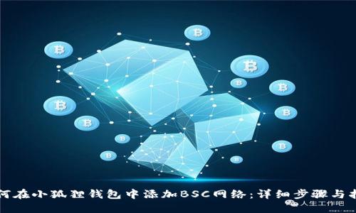 如何在小狐狸钱包中添加BSC网络：详细步骤与指南