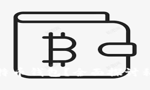 如何安全使用暗网比特币钱包？全面探讨私钥的角色与保护策略