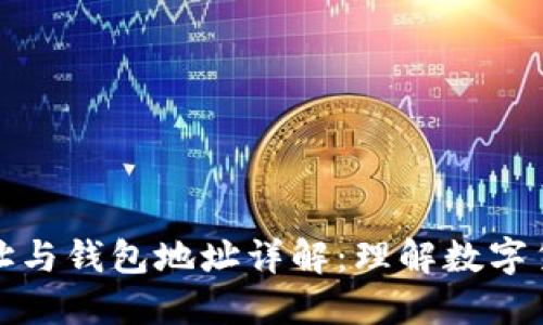 比特币地址与钱包地址详解：理解数字货币的基础