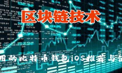 国内适用的比特币钱包iOS推荐与使用指南
