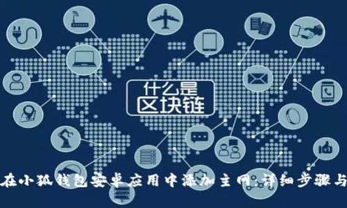 如何在小狐钱包安卓应用中添加主网：详细步骤与技巧