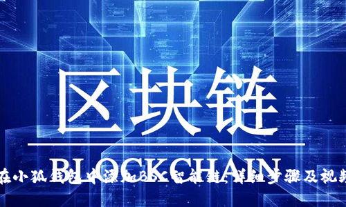 如何在小狐钱包中添加BSC智能链：详细步骤及视频指南