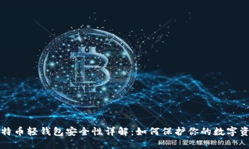 比特币轻钱包安全性详解：如何保护你的数字资产