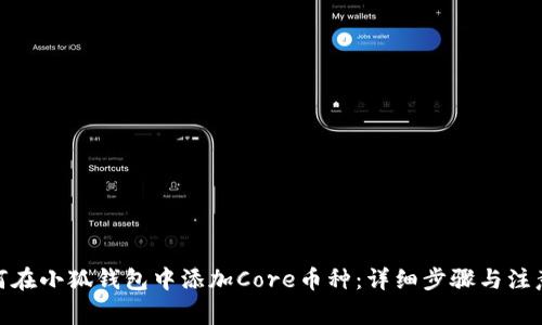 : 如何在小狐钱包中添加Core币种：详细步骤与注意事项