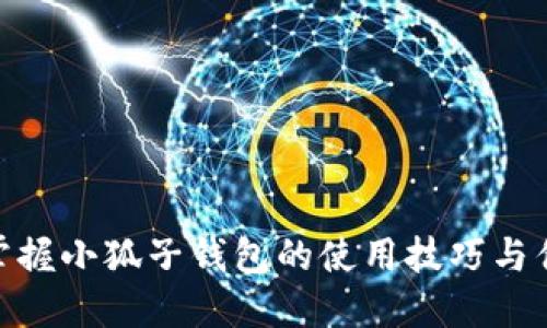 : 掌握小狐子钱包的使用技巧与优势