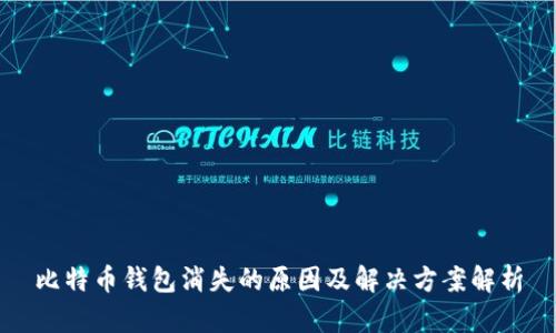 比特币钱包消失的原因及解决方案解析