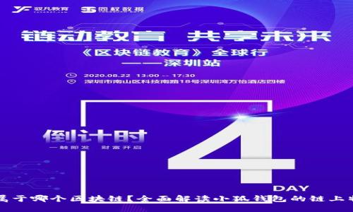 小狐钱包属于哪个区块链？全面解读小狐钱包的链上特性与功能