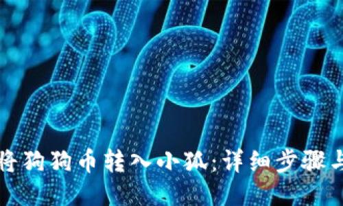 如何将狗狗币转入小狐：详细步骤与技巧
