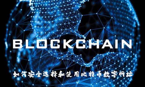 如何安全选择和使用比特币数字网址