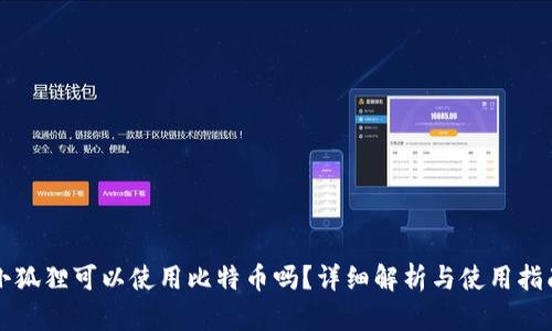 小狐狸可以使用比特币吗？详细解析与使用指南