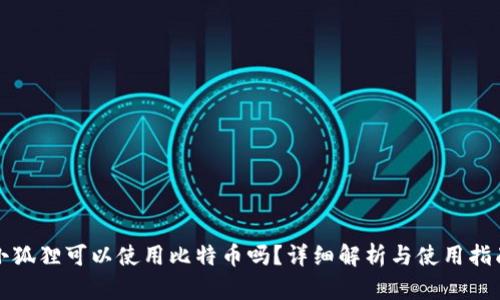 小狐狸可以使用比特币吗？详细解析与使用指南