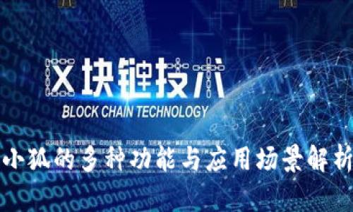 小狐的多种功能与应用场景解析