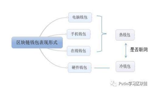 如何绘制小狐链条图：详细指南